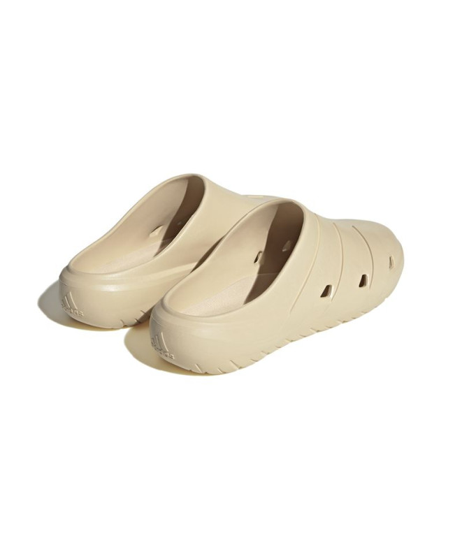 Chanclas de Natación adidas Adicane Beige Hombre