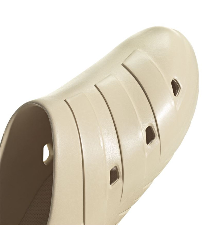 Chanclas de Natación adidas Adicane Beige Hombre
