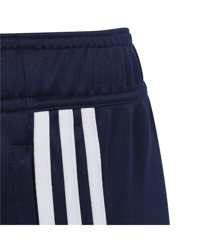 Pantalons de Football adidas Tiro 23 Club Bleu...