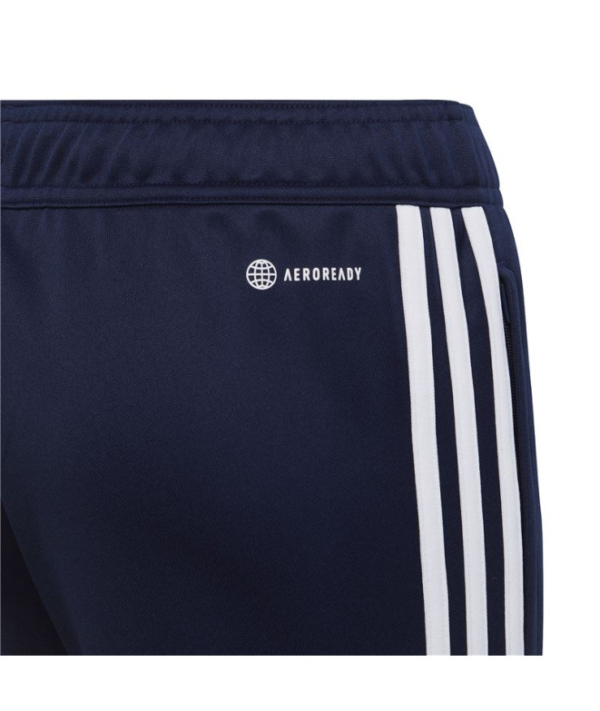 Pantalons de Football adidas Tiro 23 Club Bleu...
