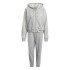 Tracksuit adidas Energize Femmes Gris