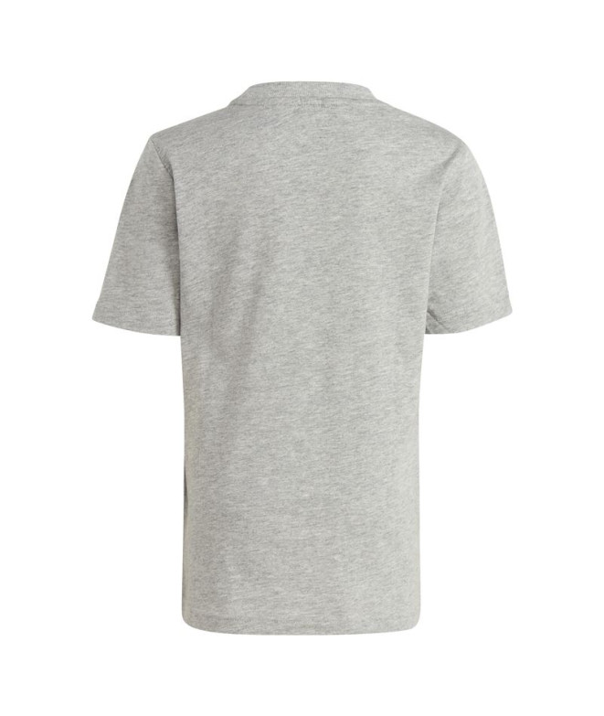 Conjunto adidas Essentials Logo Gris Infantil