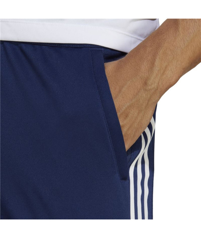Calça adidas Train Essentials 3B Azul Homem