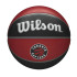 Balle de Basket-ball Wilson NBA Team Tribute Toronto Raptors Rouge