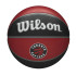 Pelota de Baloncesto Wilson NBA Team Tribute Toronto Raptors Rojo