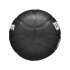 Bola de basquetebol Wilson NBA Team Tribute Mini GSW Preto