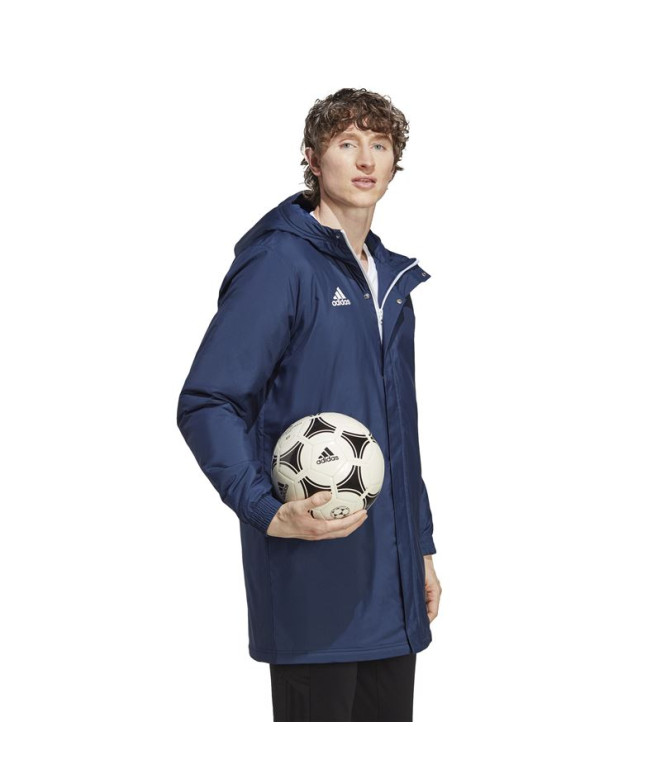 Veste Football adidas à partir du stade...
