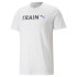 Puma Graphic Tr T-Shirt Fitness Hommes Blanc