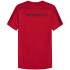 T-shirt de fitness 4F Secagem rápida para homem RD