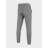 Calças de trenching 4F Functional grey Homens