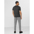Pantalones de traning 4F Functional gris Hombre