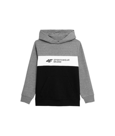 Sudadera 4F JBLM003 Niño gris