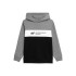 Sweatshirt 4F JBLM003 Rapaz cinzento
