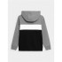 Sweatshirt 4F JBLM003 Rapaz cinzento