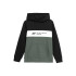 Sweatshirt 4F JBLM003 Rapaz verde