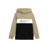 Sweatshirt 4F JBLM003 Menino Castanho