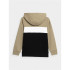 Sweatshirt 4F JBLM003 Menino Castanho