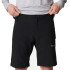 Calça columbia Silver Ridge™ Utility Cargo Trekking Utility Cargo Preto Homem