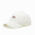 Boné Dickies Hardwick Cloud White