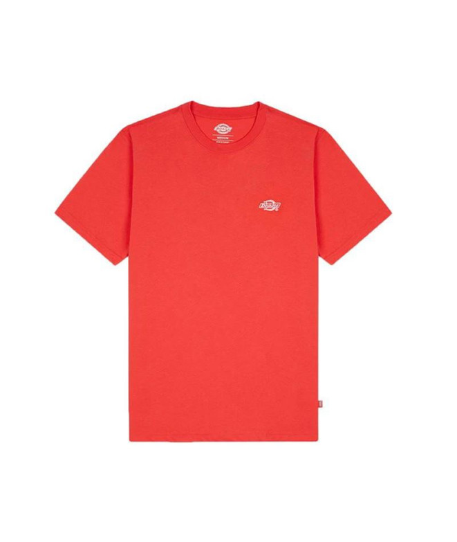 Camiseta Dickies Summerdale Coral Homem