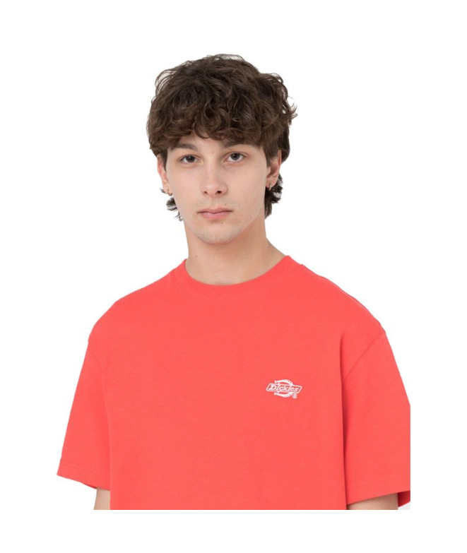 Camiseta Dickies Summerdale Coral Homem