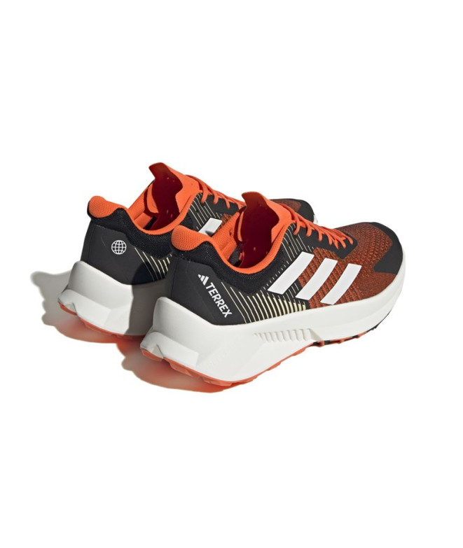 Trail Running Chaussures adidas Terrex...