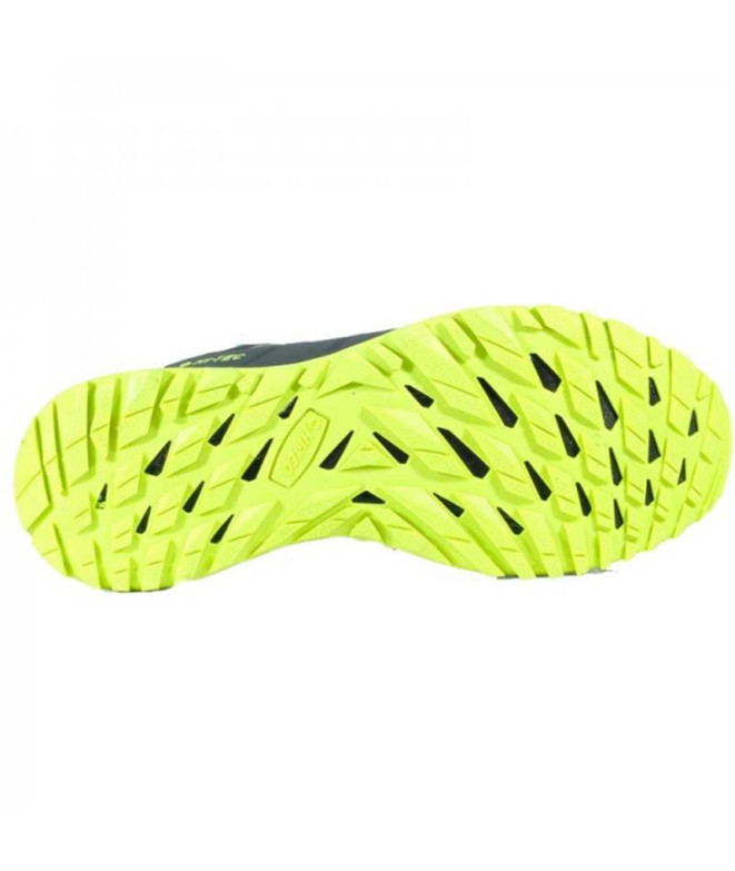 Chaussures de Montagne Hi-Tec Lander Low...
