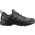 Chaussures de Montagne Salomon X Braze Gore-Tex Gris Homme