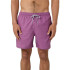 Fato de banho de Praia e piscina Rip Curl Daily Volley Homem roxo