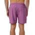 Fato de banho de Praia e piscina Rip Curl Daily Volley Homem roxo