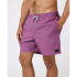 Fato de banho de Praia e piscina Rip Curl Daily Volley Homem roxo
