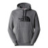 Sudadera de montaña The North Face Drew Peak Gris Hombre