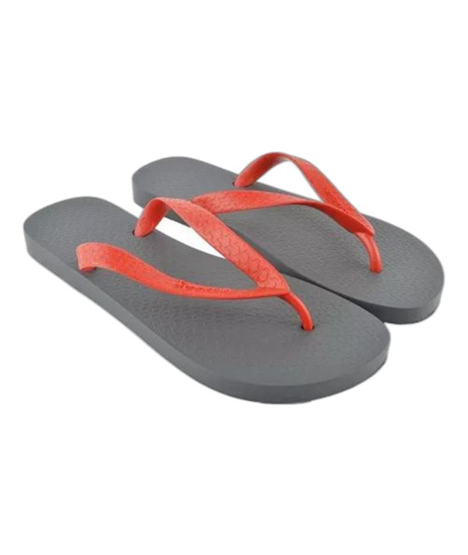 Chinelos Ipanema Homem Clássica Cinzento