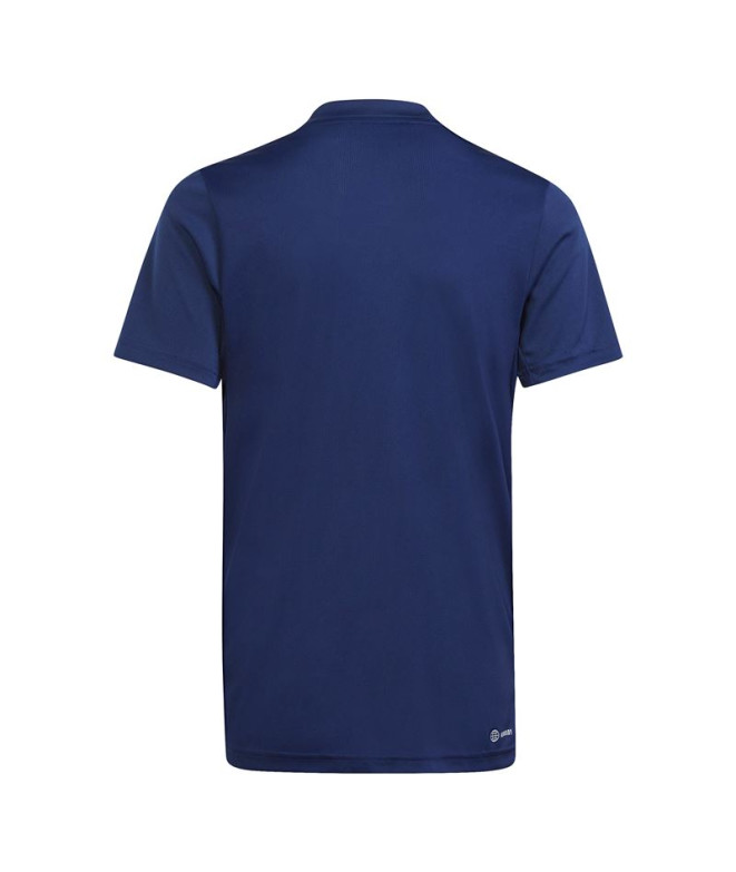 T-Shirt Fitness adidas Trainning Essentials...