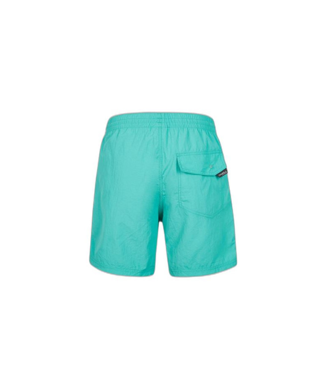 Fato de banho O'Neill Vert Swim 16" Homem Verde...