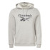 Sudadera de Fitness Reebok RI Modern Camo OTH Hombre