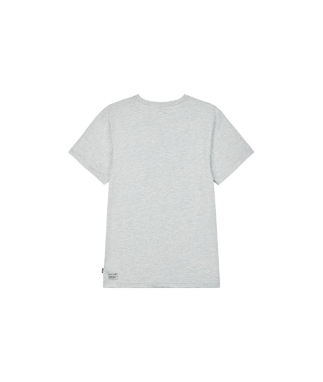 Picture Murray T-Shirt gris pour hommes