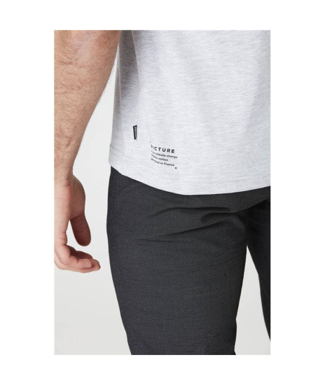 Picture Murray T-Shirt gris pour hommes