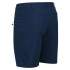 Calças de montanha Regatta Highton Mid Blue Wing Man