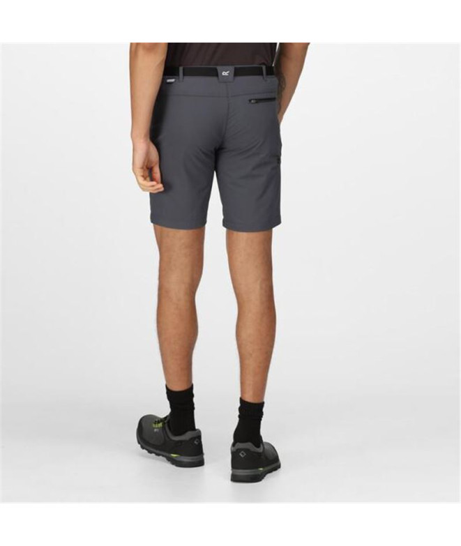 Calça de Montanha Regatta Xert StrShort III Homem