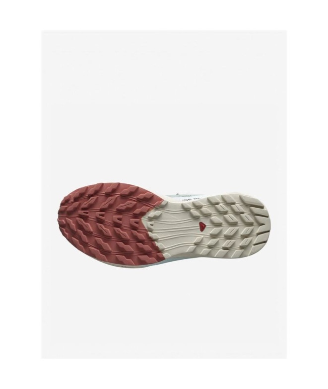 Zapatillas de Trail Salomon Sense Ride 5...