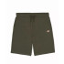 Pantalons Dickies Mapleton Military Homme