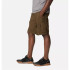 Calça de Trail Columbia Silver Ridge™ Utility Cargo Green Homem