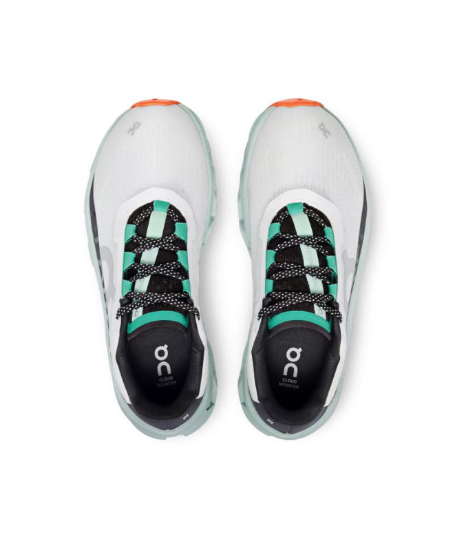 Zapatillas de Running On Running Cloudmonster...