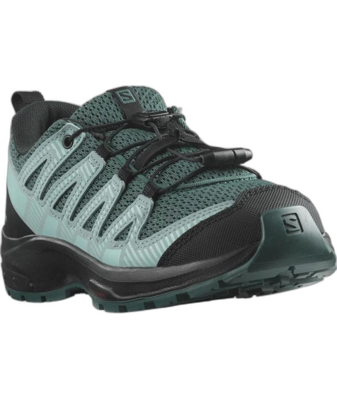 Chaussures de Montagne Salomon XA Pro V8...