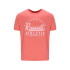 Camiseta Russell Amt A30211 Homem