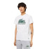 T-shirt Lacoste em camisola de algodão