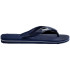 Chinelos de dedo Havaianas Logo Filete Man Azul