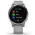 Reloj Garmin Vívoactive 4S Gray/Silver