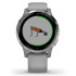 Reloj Garmin Vívoactive 4S Gray/Silver